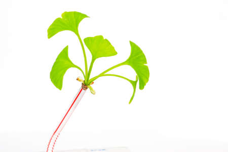 Milk boxの写真素材