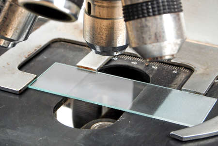 Slide glassの写真素材