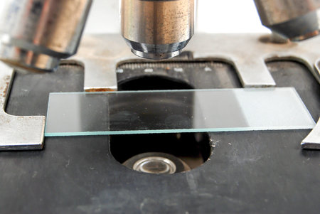 Microscope