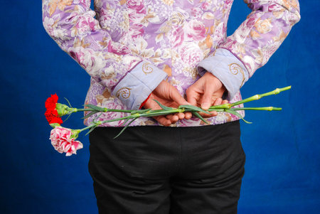 Carnationの写真素材