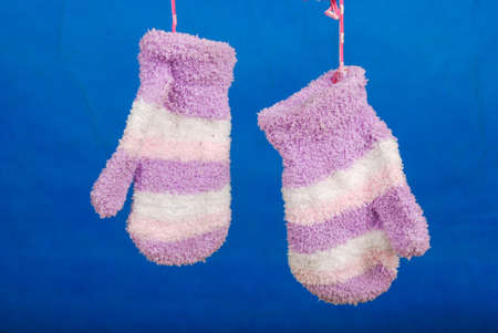 Glovesの写真素材