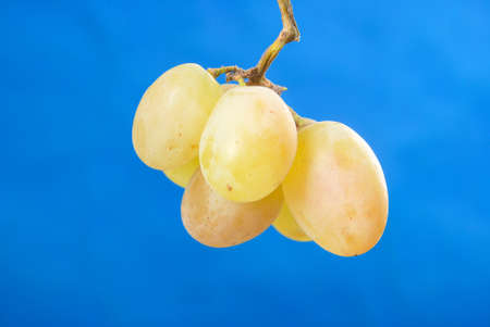 Grapeの写真素材