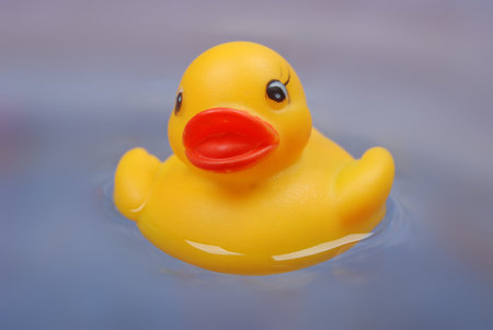 Rubber duck