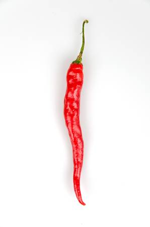 red chilli peppersの写真素材