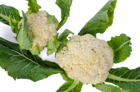 Fresh cauliflowerの写真素材