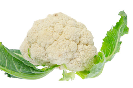 Fresh cauliflowerの写真素材