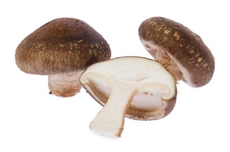 Fresh mushroom champignonの写真素材