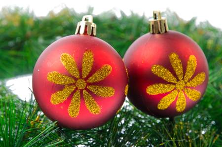 Christmas ball with pine branch の写真素材