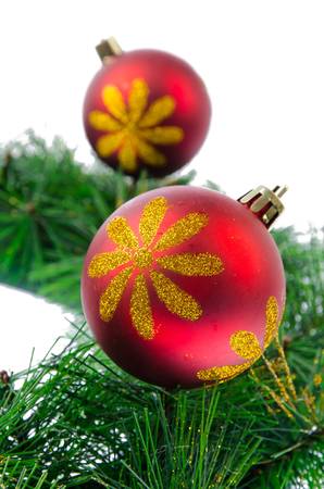 Christmas ball with pine branch の写真素材