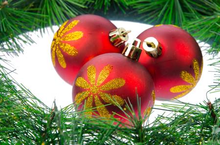Christmas ball with pine branch の写真素材
