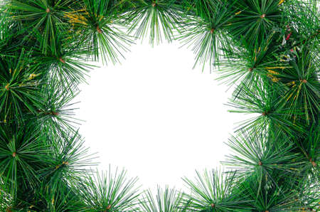 Christmas wreathの写真素材