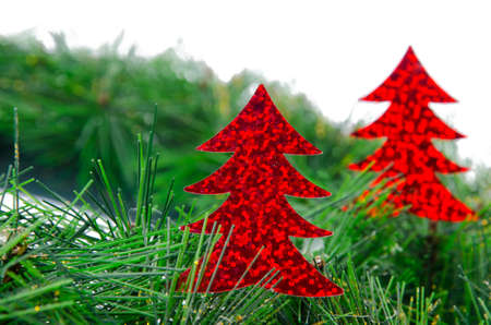 Christmas treeの写真素材