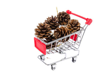 Pineconeの写真素材