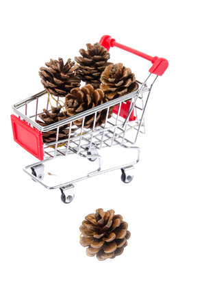 Pineconeの写真素材