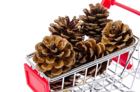 Pineconeの写真素材