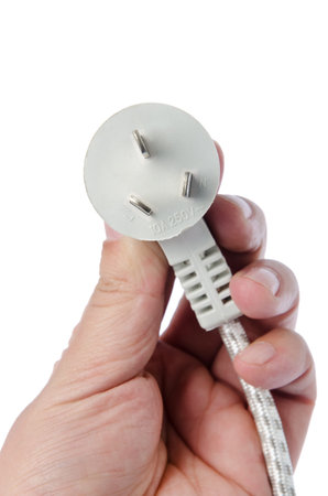 Electric plug