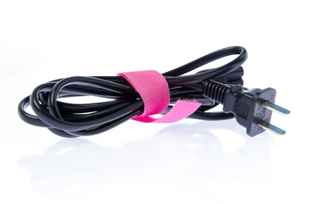 Electric plug