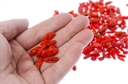 Red chinese wolfberry fruitの写真素材