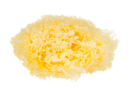 Tremella fuciformisの写真素材
