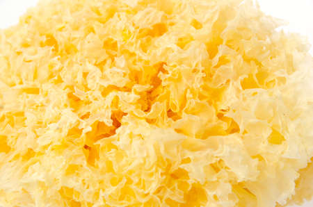 Tremella fuciformisの写真素材