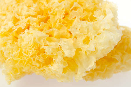 Tremella fuciformisの写真素材