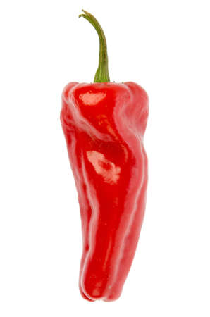 Fresh pepper vegetablesの写真素材