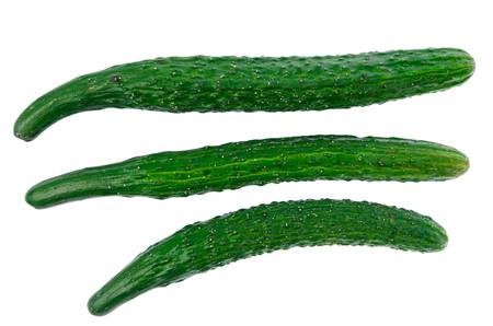 Cucumberの写真素材