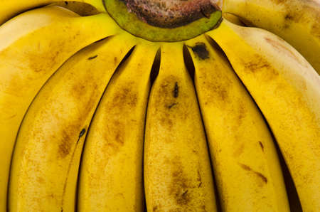 Bananaの写真素材