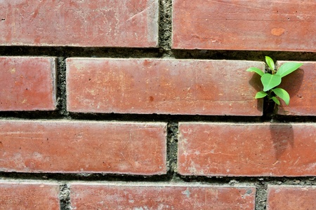 old red and black brick wall texture backgroundの写真素材