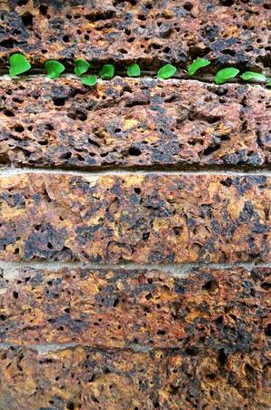 old red and black brick wall texture backgroundの写真素材
