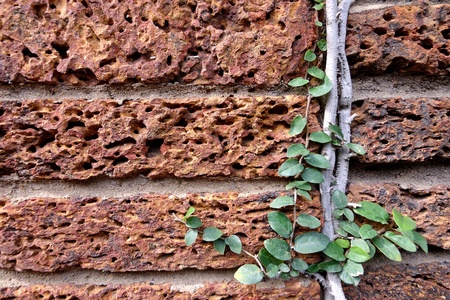 old red and black brick wall texture backgroundの写真素材