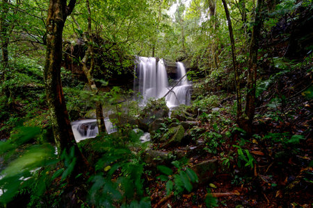 waterfall in forest in thailand (Phuhinrongkla National Park)