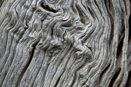 close up wood lighting made for texture blackgroundの写真素材