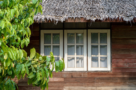 classic white windows in hut and green treeの写真素材