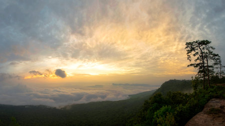 view point at nation park of thailand