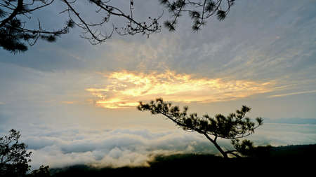 view point at nationpark of thailandの写真素材