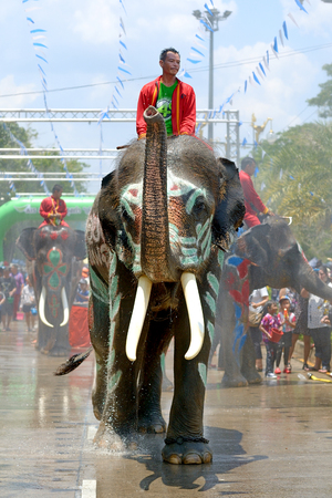 4-14-2017 Elephants have a splashing time during the Songkran Water Festival in ayutthaya Thailandのeditorial素材