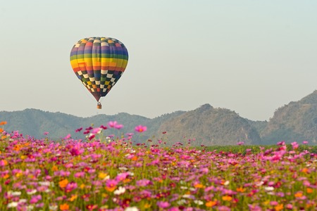 balloon and flower from north of thailandの写真素材
