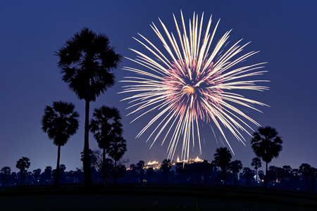 full color firework in thailand city Festivalの写真素材