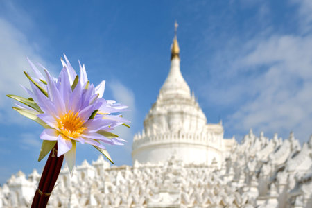 Purple lotus pagoda in Myanmarの写真素材