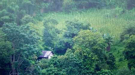 wooden hut in the forest of thailandの写真素材