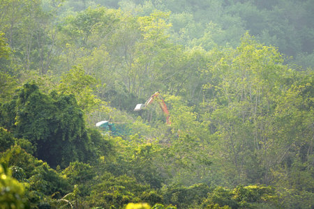 Tractors and loggers in the forest on the mountain