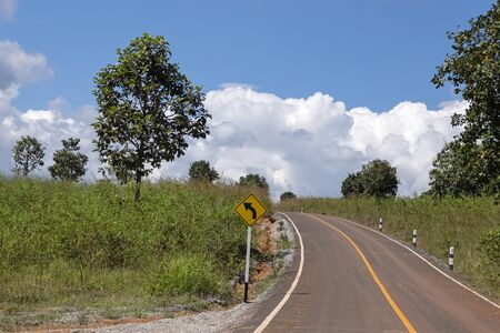 Roads and pine trees in Thung Salaeng Luang forestの写真素材