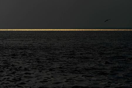 The golden light of the sun reflects on the sea.の写真素材