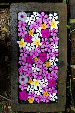 Flowers of many colors floating in the water basinの写真素材