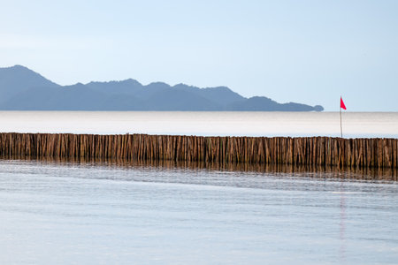 Bamboo embroidered to protect the sea waves.の写真素材