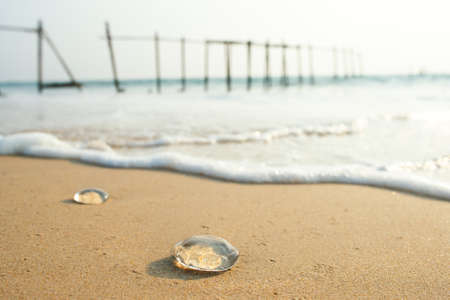 Old wooden bridge at Pilai Beach, Phang Nga Provinceの写真素材