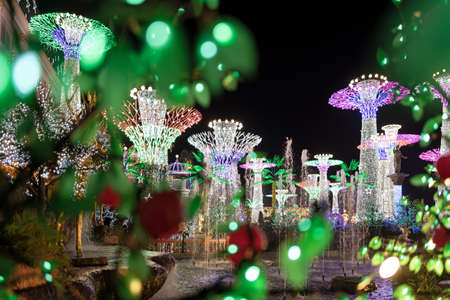 tree light show Night time in Pattaya, Thailandの写真素材