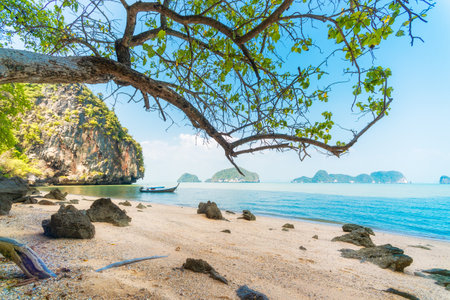 Fishing boats in the sea in Phuket, Thailandの写真素材