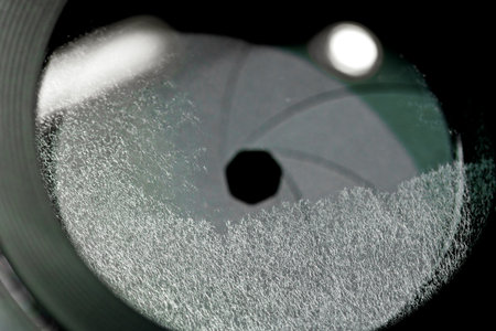close up or macro fungus on glass camera lensの写真素材